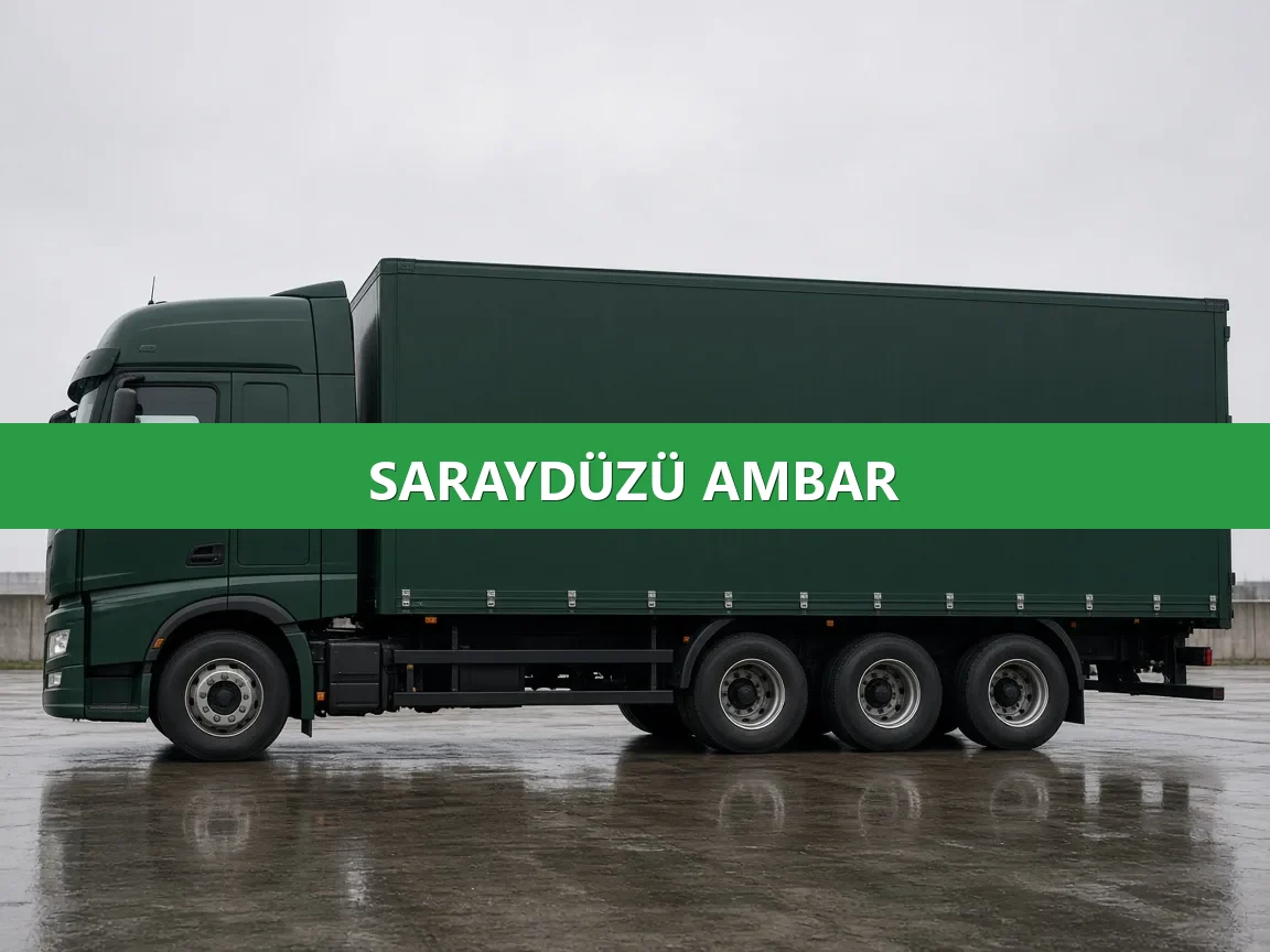 Saraydüzü Ambar